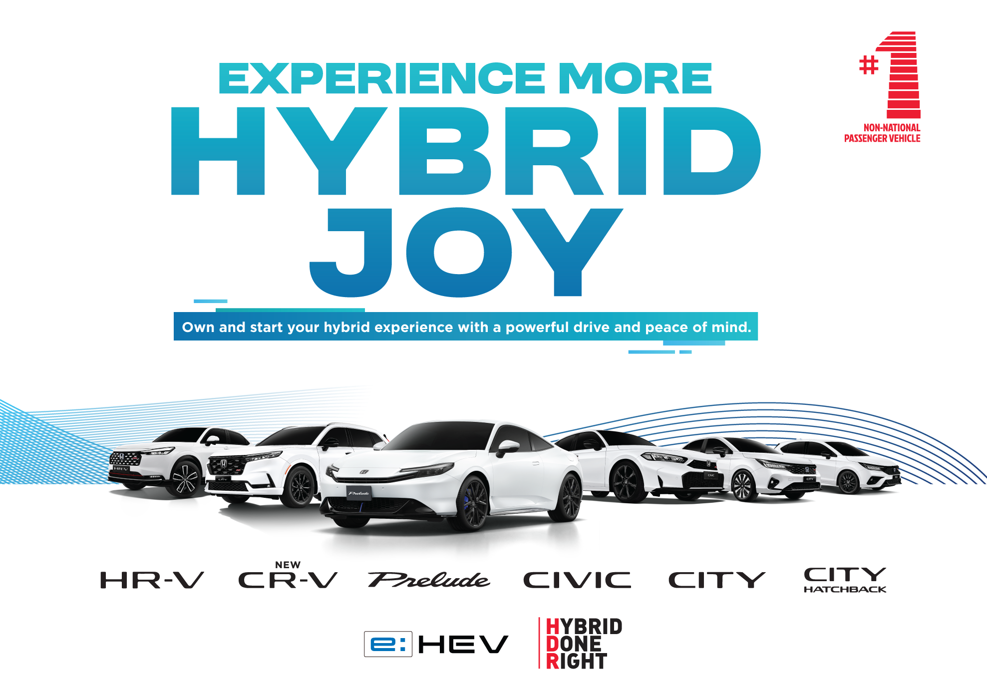 Experience More Hybrid Joy - thumbnail