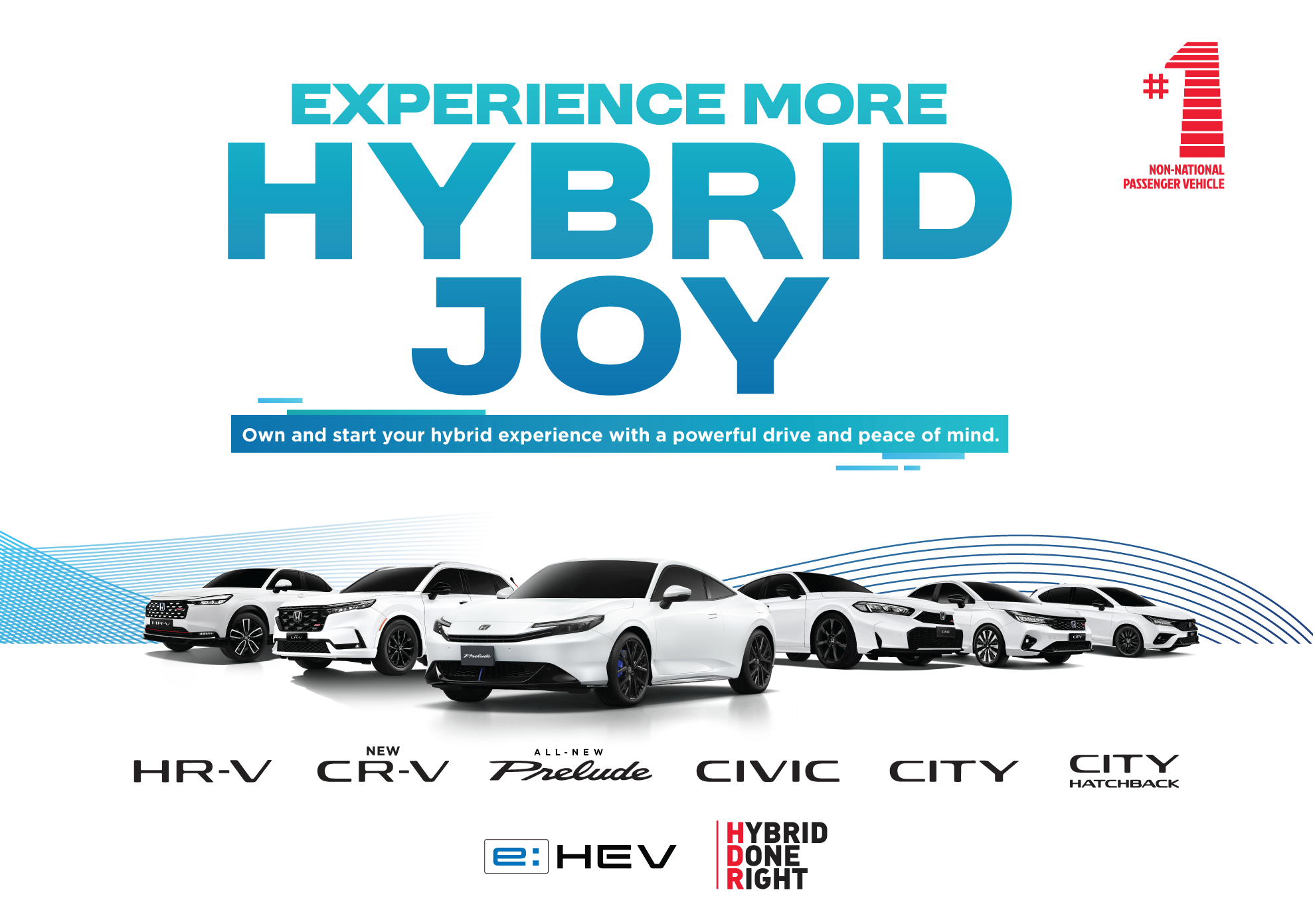 Experience More Hybrid Joy - thumbnail
